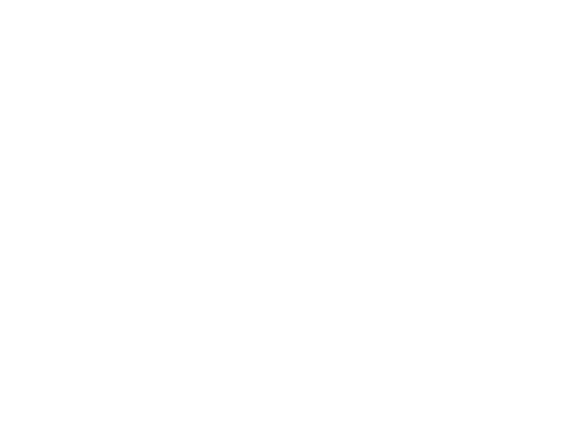 Liberal Studies
